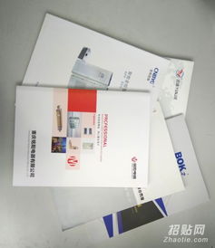 樂清樣本畫冊設計與印刷服務 宣傳冊、單張、說明書與網站設計一體化解決方案