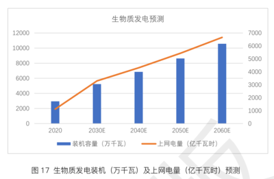 生物質能在碳中和進程中的關鍵作用分析——基于生物質能資源數據庫信息系統的視角